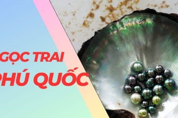 Bí Quyết Mua Ngọc Trai Phú Quốc Đẳng Cấp Nhất