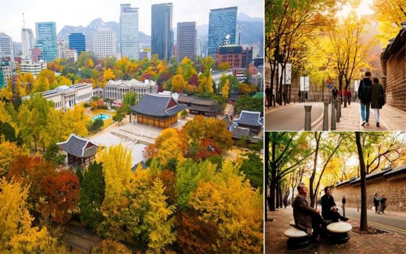 Cảnh đẹp Seoul Hàn Quốc, con đường Deoksugung Doldam – gil lãng mạn.